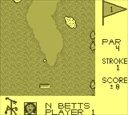 gameboy/spillglf jpg snap thumbnail