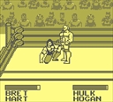 gameboy/wwfking jpg snap thumbnail