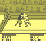 gameboy/wwfkingj png snap