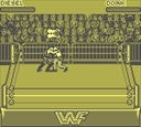 gameboy/wwfraw jpg snap thumbnail