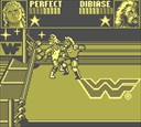 gameboy/wwfsstarj jpg snap thumbnail