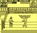 gameboy/wwfsstr2 jpg snap thumbnail