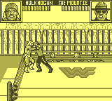 gameboy/wwfsstr2j png snap