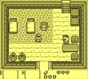 gameboy/zeldalnka jpg snap thumbnail