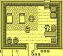 gameboy/zeldalnkg jpg snap thumbnail