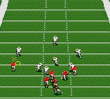gamegear/nfl95p02 png snap