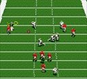 gamegear/nfl95p09 jpg snap thumbnail