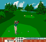gamegear/pga96 png snap