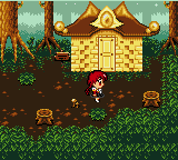 gamegear/rayearth png snap