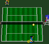 gamegear/sega4in1p png snap