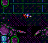 gamegear/sspinp19 png snap