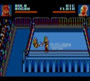 gamegear/wwfsteel jpg snap thumbnail