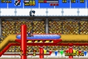 Motocross Maniacs Advance (Japan)