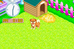 gba/nakapet2 png snap