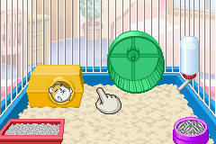 gba/petz2 png snap