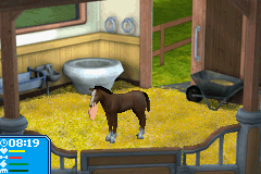 gba/pferpnbf png snap