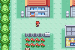 gba/pokefirdja png snap