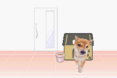 gba/pokeinu png snap