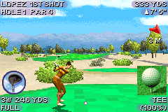 gba/twood2k4 png snap