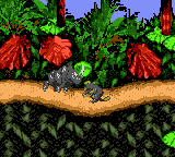 gbcolor/dkongc png snap