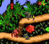 gbcolor/dkongcd png snap