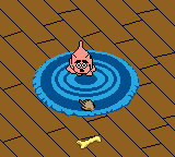 gbcolor/dogz png snap