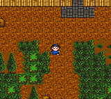 gbcolor/jyqxc2 png snap