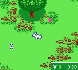 gbcolor/kellyclb png snap