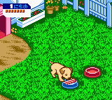 gbcolor/nakapet3 png snap