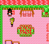 gbcolor/ncook1 png snap