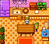 gbcolor/ncook2 png snap