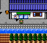 gbcolor/owarai png snap