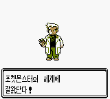 gbcolor/pokegeum png snap