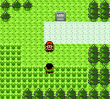 gbcolor/pokekina png snap