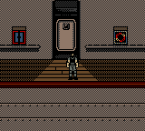 gbcolor/revilgu png snap