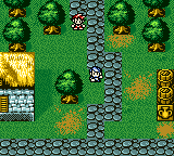 gbcolor/sswy png snap