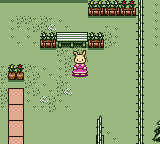 gbcolor/sylvan2 png snap