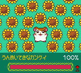 gbcolor/sylvan3 png snap