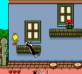 gbcolor/titi png snap