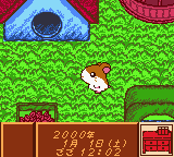 gbcolor/tottokh png snap