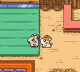 gbcolor/tottokh2 png snap