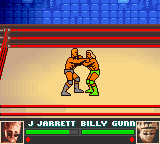 gbcolor/wwfattit png snap