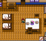 gbcolor/xhunterx png snap