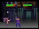 Double Dragon V - The Shadow Falls