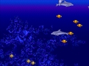 Ecco the Dolphin (Europe) [I-2647 A]