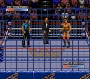 WWF Rage in the Cage (Europe)