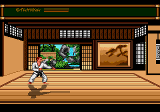 megadriv/budokanup png snap