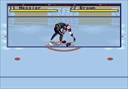 megadriv/nhlasp13 jpg snap thumbnail