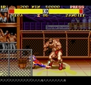 megadriv/sf2pir jpg snap thumbnail