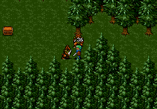 megadriv/sorcerk1 png snap